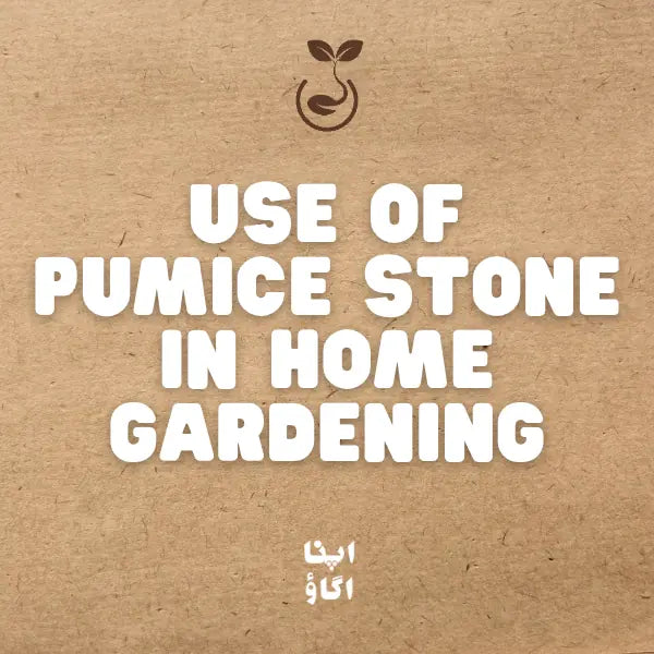 How to Use Pumice Stone in Home Gardening: Complete Guide for Pakistan