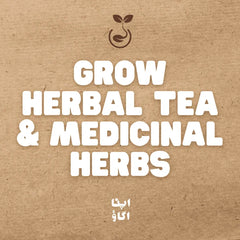 How to Grow Herbal Tea & Medicinal Herbs: Chamomile, Stevia & More