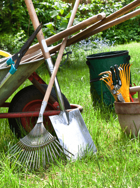 How to Take Care of your Summer Gardens in Pakistan - Apnaugao