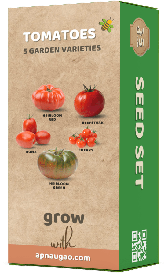 Growing Heirloom Tomatoes in Pakistan: A Guide - Apnaugao