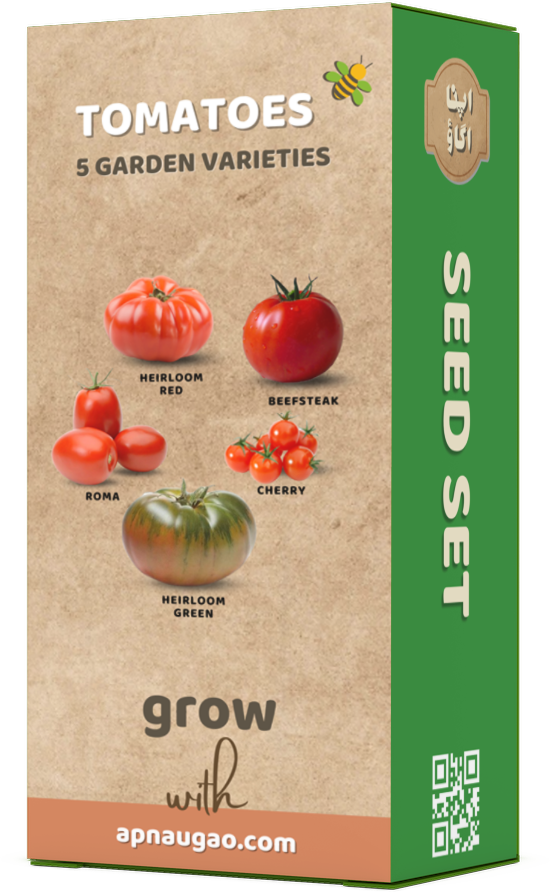 Growing Heirloom Tomatoes in Pakistan: A Guide