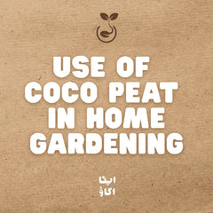 How to Use Coco Peat in Home Gardening: Complete Guide for Pakistan