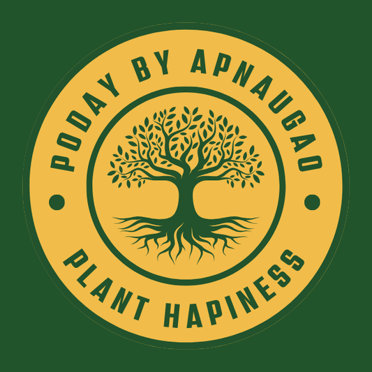 exotic plants with self watering planter by apnaugao