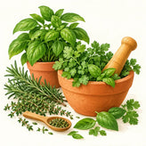 Culinary herb seeds – kitchen herbs for Pakistani cooking | Apnaugao