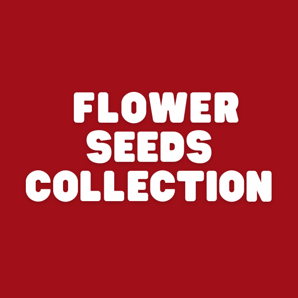 Flower Seeds collection- Apnaugao