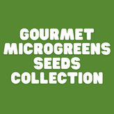 Asian Baby Leaf & Microgreen Seeds - Apnaugao