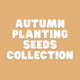plant in autumn - Apnaugao