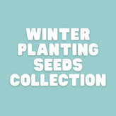 plant in winter - Apnaugao