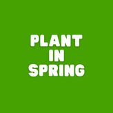 Plant in Spring - Apnaugao