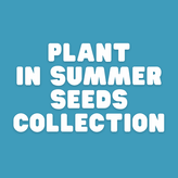 Plant in Summer - Apnaugao