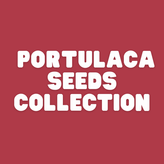 Portulaca  Flower Seeds - Apnaugao