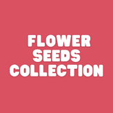 Summer Flower Seeds - Apnaugao