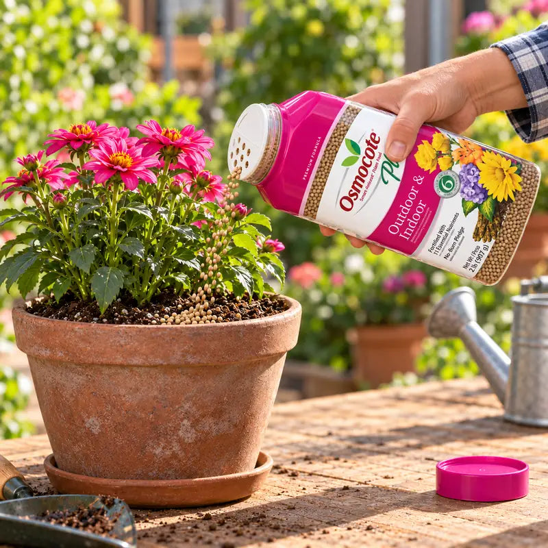 Osmocote Plus Plant Food 900g – Outdoor & Indoor Slow Release Fertilizer