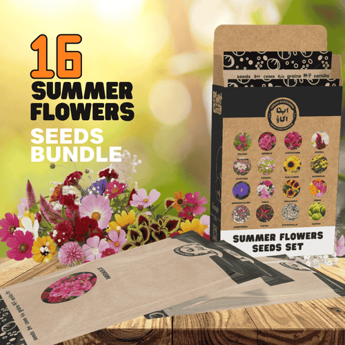 Summer Flower Seeds Set – 16 Value Packs
