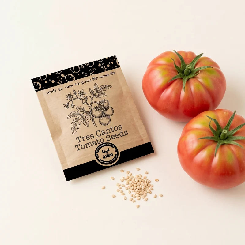 Apnaugao Tres Cantos tomato seeds packet with fresh tomatoes and seeds – buy tomato seeds online in Pakistan