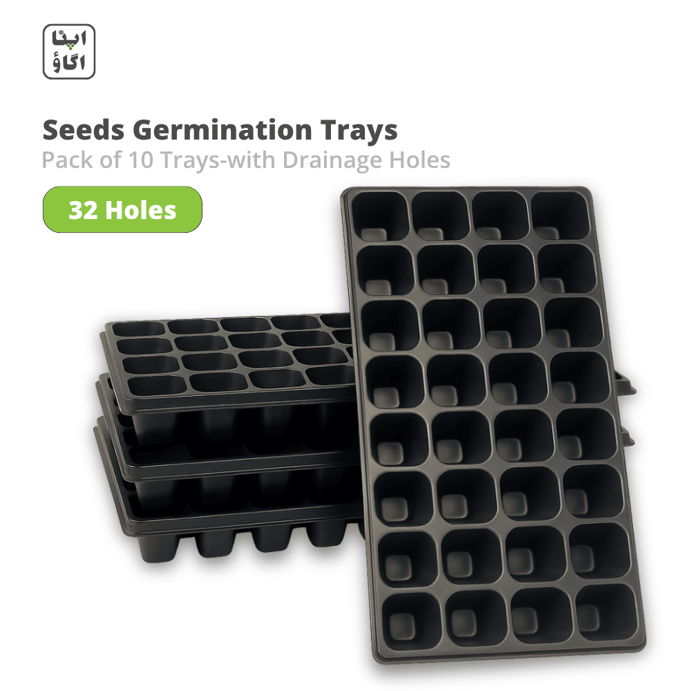 Set of 10-seeds germination 32 holes cells with drainage holes on a white background