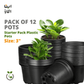 pack of 12 3 inches plastic pots for kitchen gardening beginners