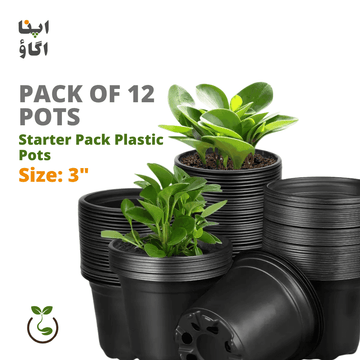 pack of 12 3 inches plastic pots for kitchen gardening beginners