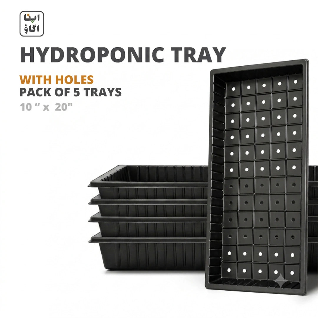 Set of 5 Seedling trays with holes - buy on apnaugao.com