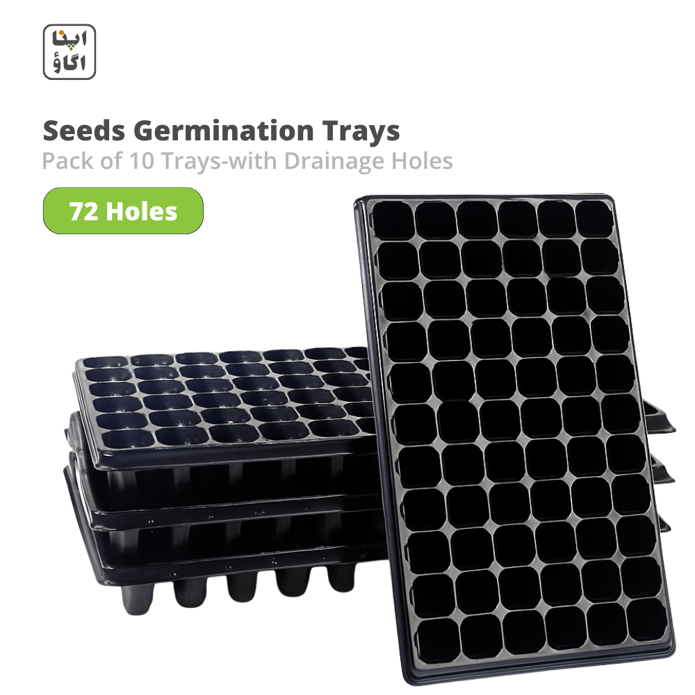 Black seeds germination trays with drainage holes on a white background