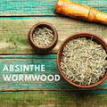 grow your own Absinthe Wormwood at home