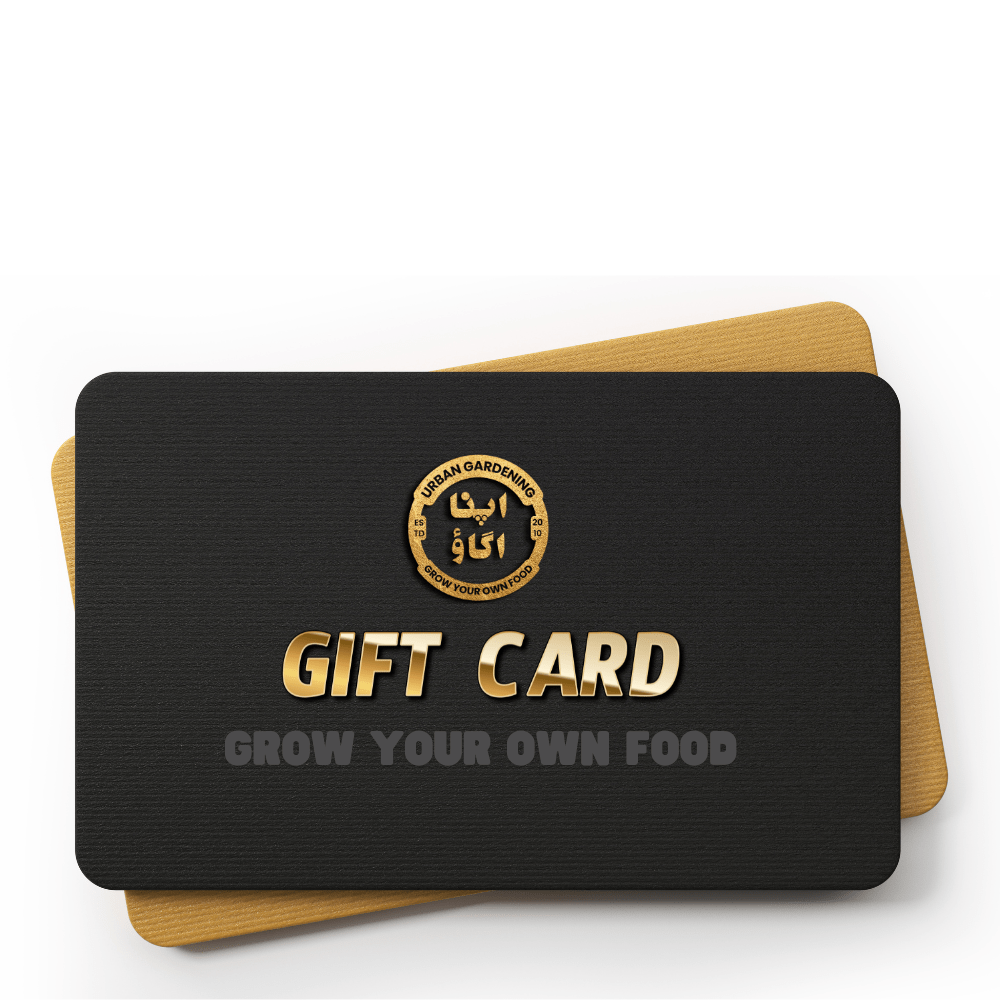 GYO Gift Card - Apnaugao