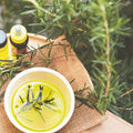 buy rosemary herbs seeds