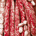 Bush Beans Seeds Red Podded Taylor's Horticultural - Apnaugao