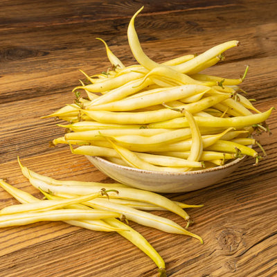 Yellow Podded bush beans available in Pakistan - Apnaugao
