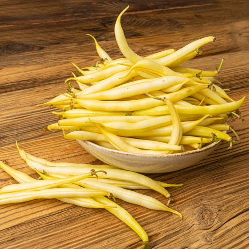Yellow Podded bush beans available in Pakistan - Apnaugao