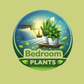 Illustration of a bedroom with plants and 'Bedroom Plants' text on a green background