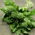 Spring rapini seeds for kitchen gardening and fresh homegrown vegetables