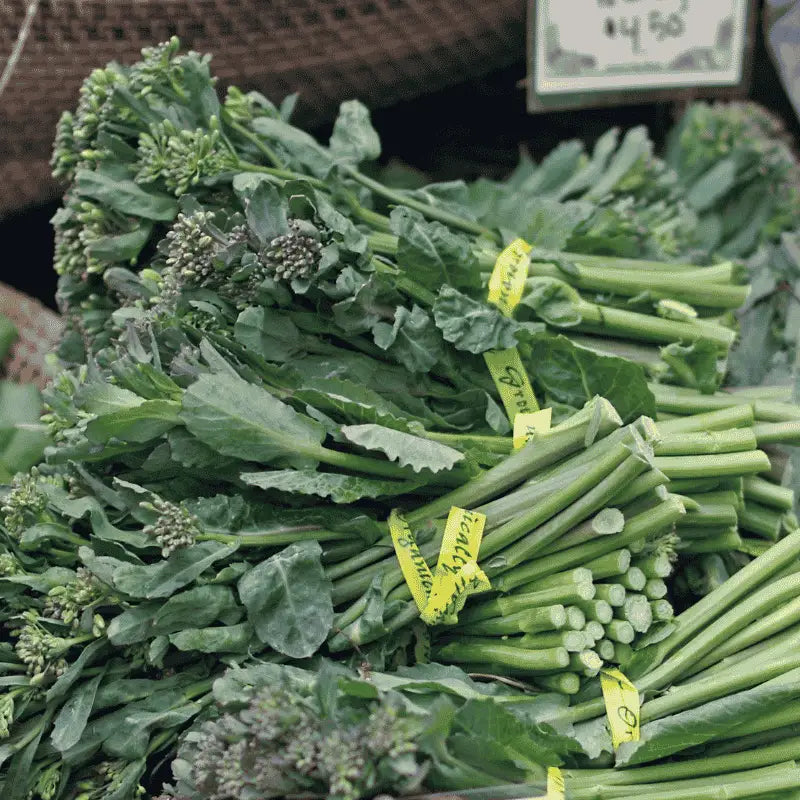 Spring rapini seeds for kitchen gardening and fresh homegrown vegetables
