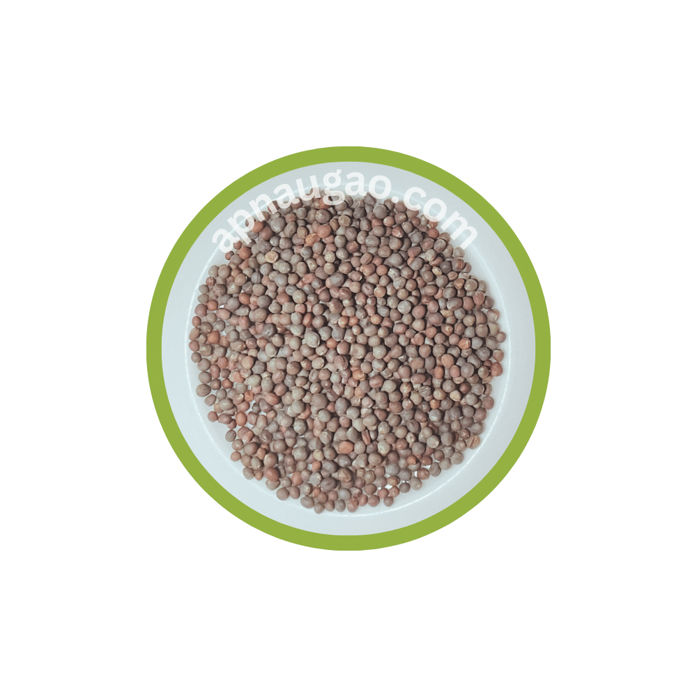 Broccoli Seeds - Apnaugao