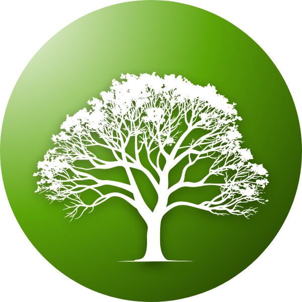 Tree seeds – Grow strong, healthy trees for shade and greenery.
