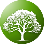 Tree seeds – Grow strong, healthy trees for shade and greenery.