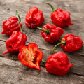 Trinidad Scorpion Hot Pepper Seeds in Pakistan – ApnaUgao
