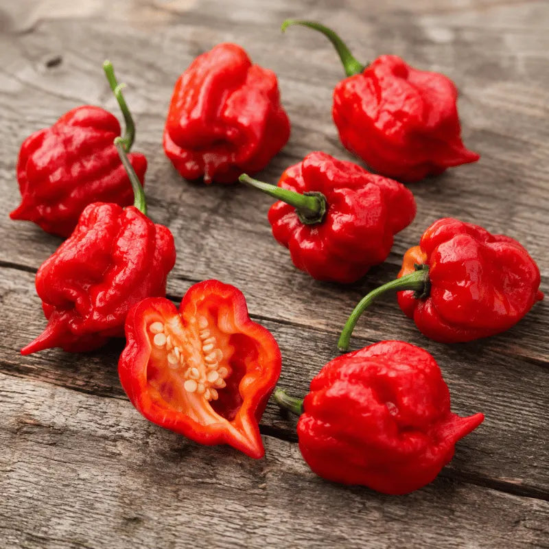 Trinidad Scorpion Hot Pepper Seeds in Pakistan – ApnaUgao