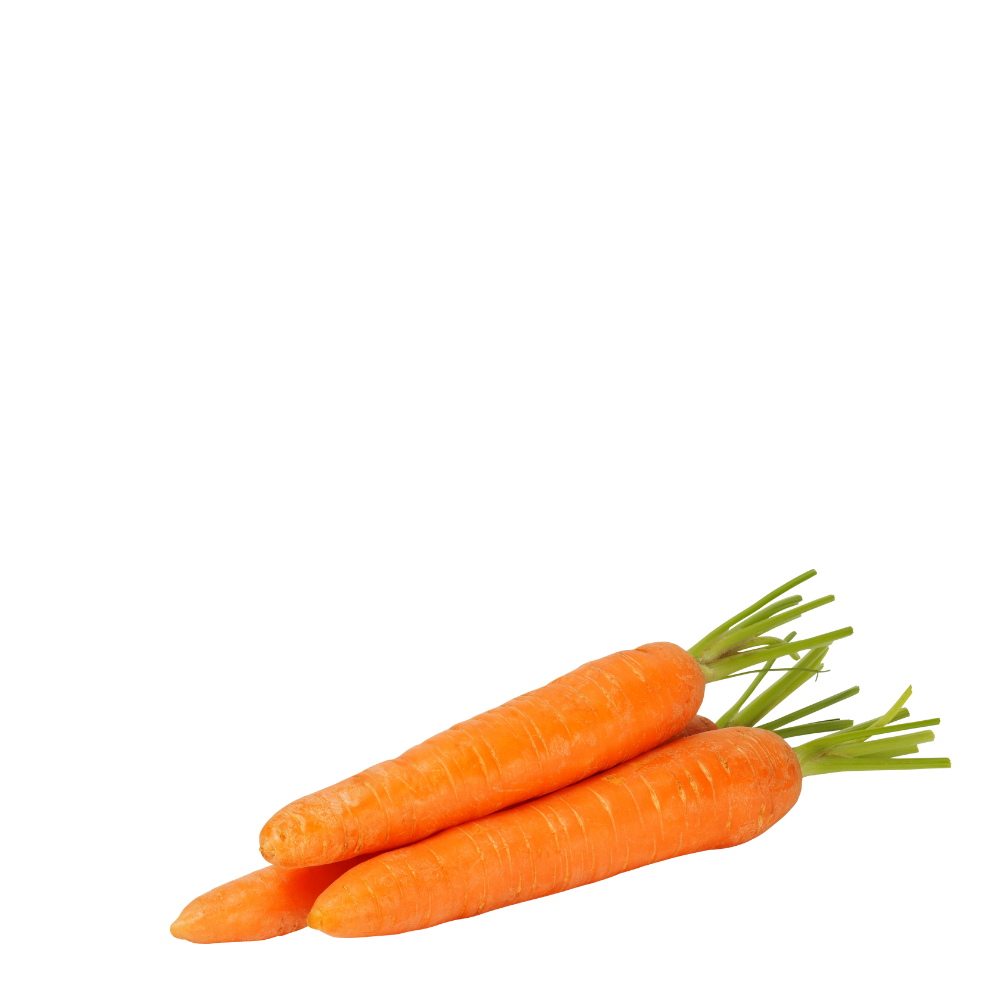 Heirloom Carrots Seeds - Red - De Saint-Valery