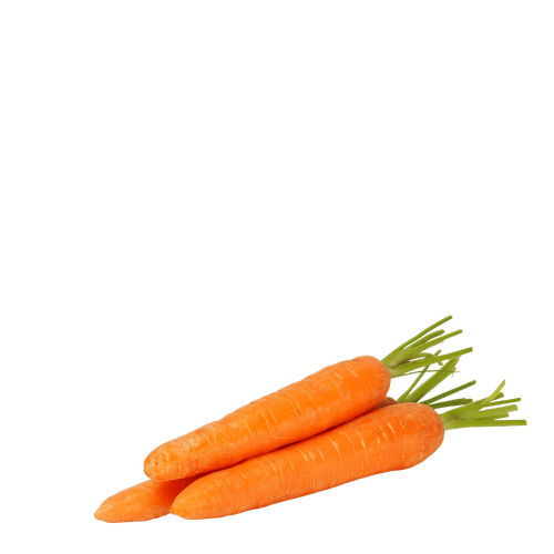 Heirloom Carrots Seeds - Red - De Saint-Valery