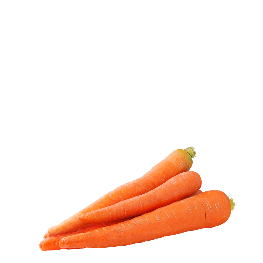 Heirloom Carrots Seeds - Red - Toro