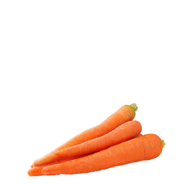 Heirloom Carrots Seeds - Red - Toro