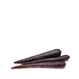Heirloom Carrots Seeds - Black - Pastenaga negra