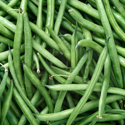 By Pole climbing beans in Pakistan - Apnaugao