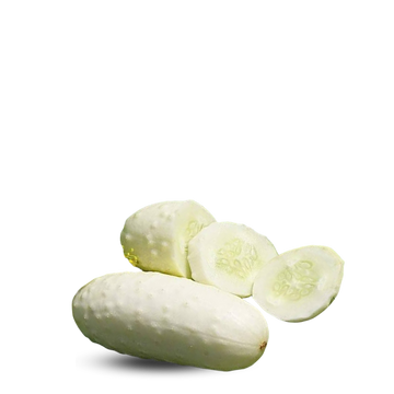Heirloom Cucumber Seeds - White wonder