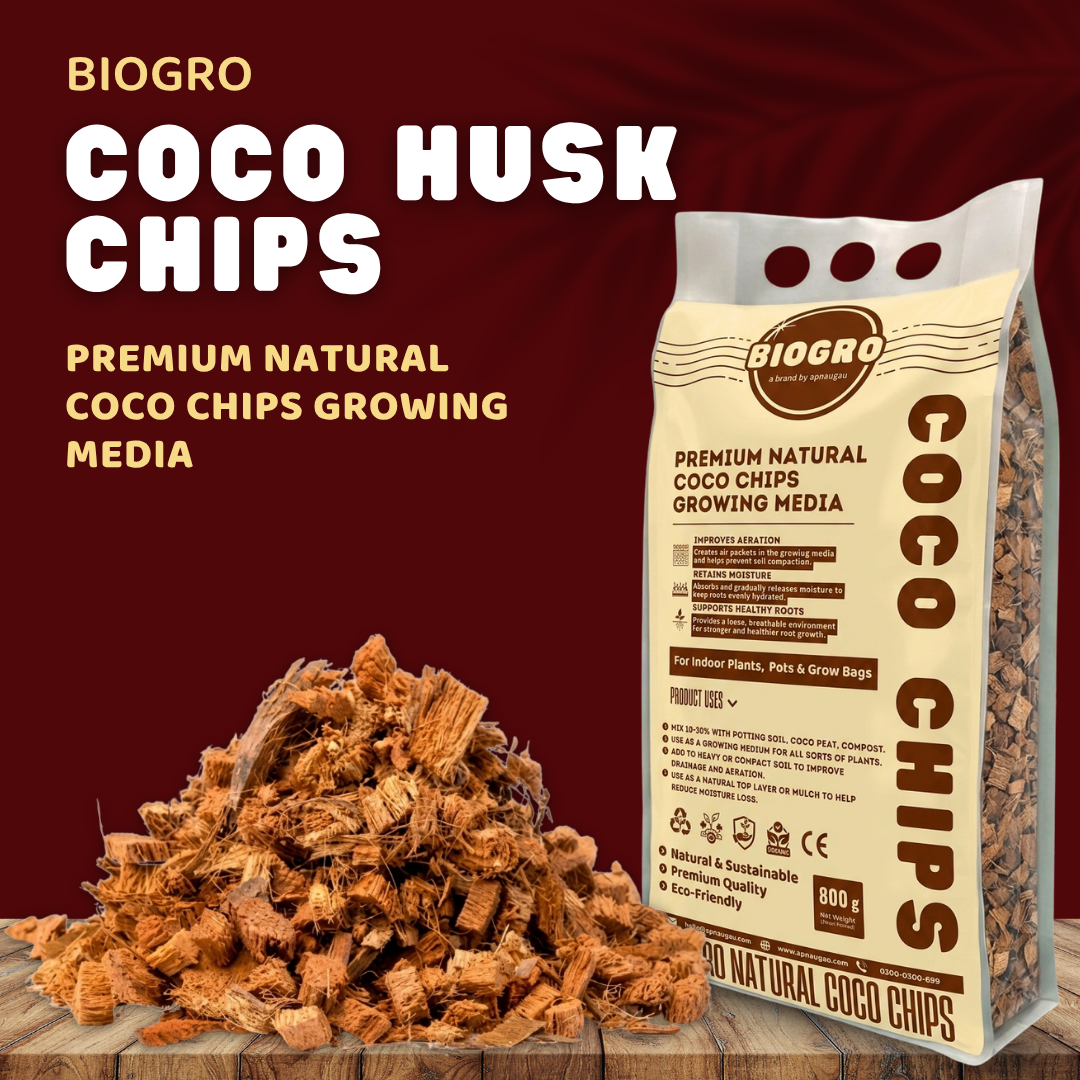 Coco chips are made from the fibrous husks of coconuts. apnaugao
