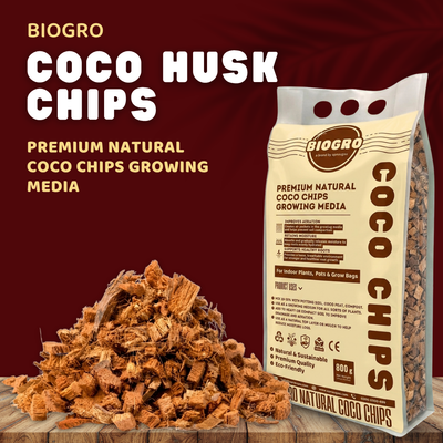 Coco chips are made from the fibrous husks of coconuts. apnaugao