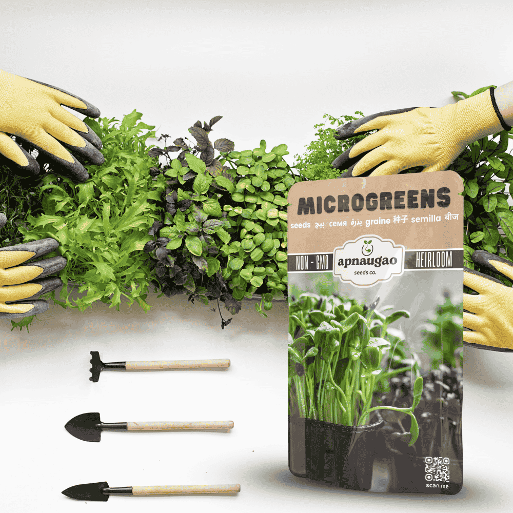 Gardening scene with microgreens package, hands in gloves, and gardening tools on a white background