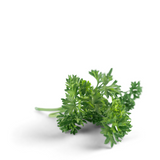 Curly Parsley Double Rizado Organic Seeds
