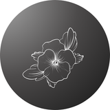 Easy-to-grow edible flowers – Add beauty and flavor to your meals.